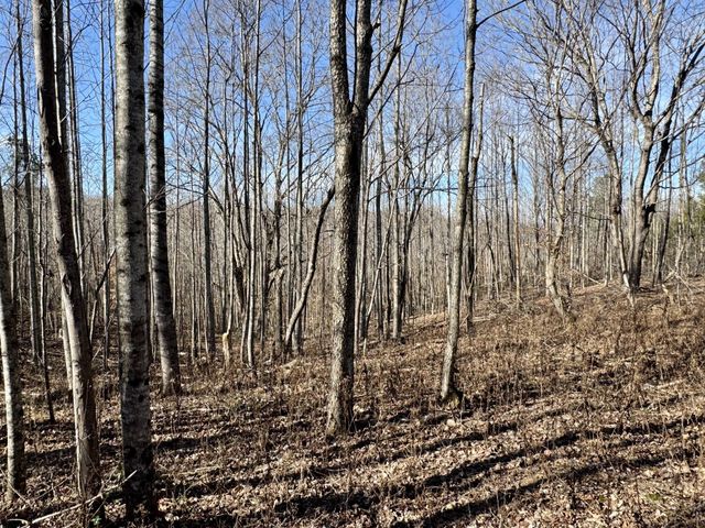 0 Lewisburg Hwy, Pulaski, TN 38478