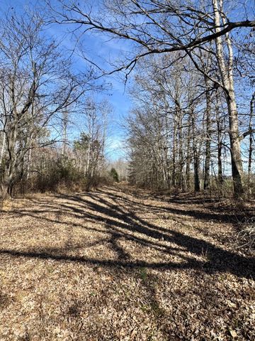 0 Lewisburg Hwy, Pulaski, TN 38478