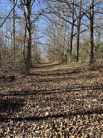 0 Lewisburg Hwy, Pulaski, TN 38478