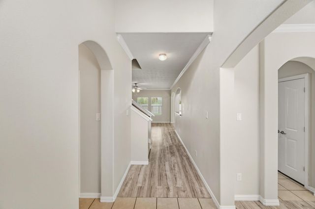 25615 Crisp Spring Lane, Spring, TX 77373