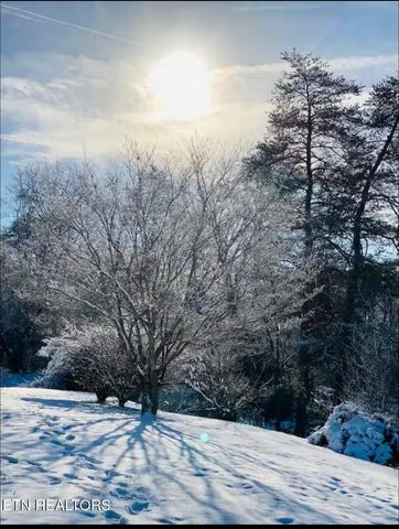 364 Jasmine Drive, Newport, TN 37821