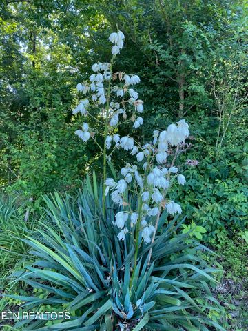 364 Jasmine Drive, Newport, TN 37821