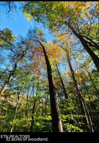 364 Jasmine Drive, Newport, TN 37821