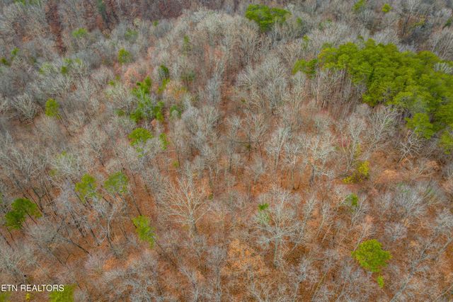 364 Jasmine Drive, Newport, TN 37821