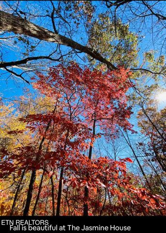 364 Jasmine Drive, Newport, TN 37821