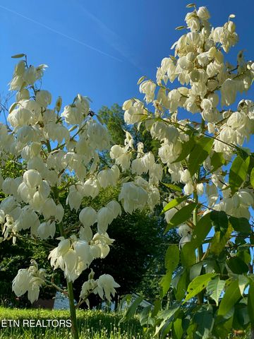 364 Jasmine Drive, Newport, TN 37821