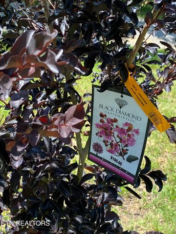 364 Jasmine Drive, Newport, TN 37821