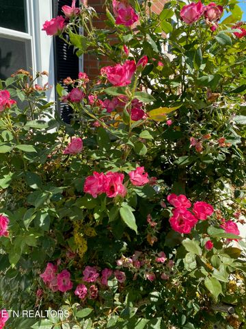 364 Jasmine Drive, Newport, TN 37821