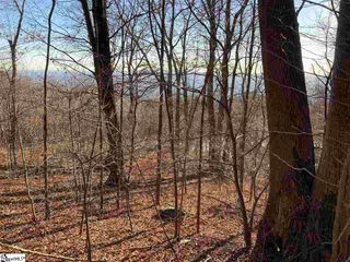 Stonesthrow Drive Lot 130, Landrum, SC 29356