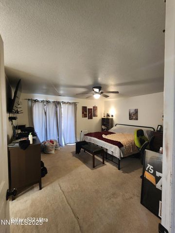 334 Monte Cristo Drive, Dayton, NV 89403