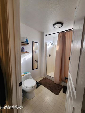 334 Monte Cristo Drive, Dayton, NV 89403