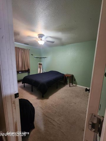 334 Monte Cristo Drive, Dayton, NV 89403