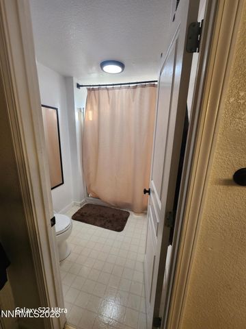 334 Monte Cristo Drive, Dayton, NV 89403