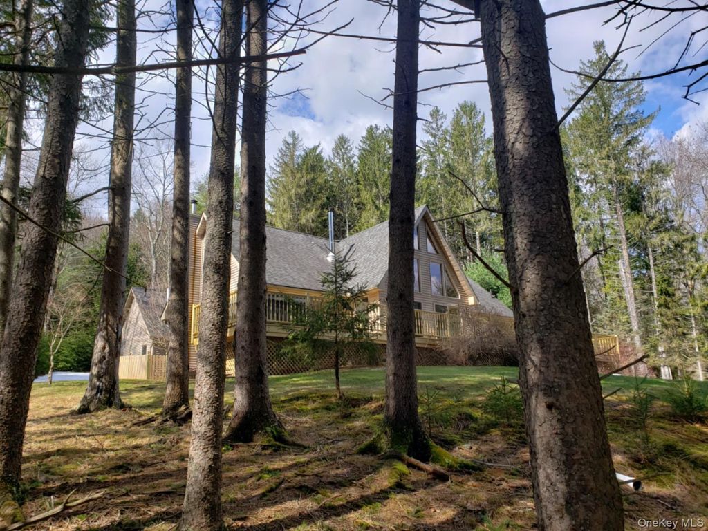 49 Oxford Drive, Bethel, NY 12786