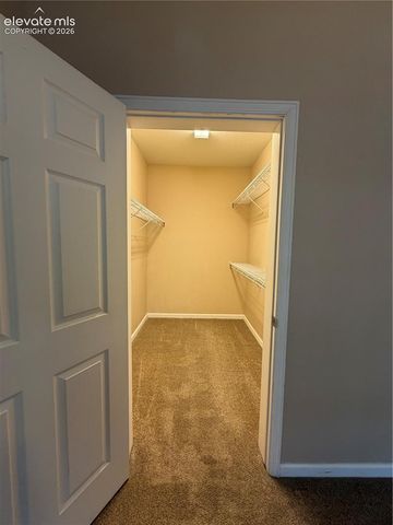 605 Cougar Bluff Point 105, Colorado Springs, CO 80906