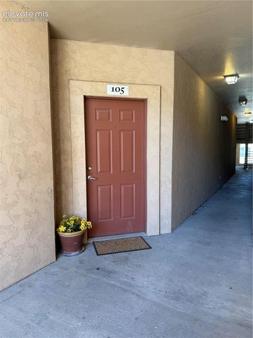 605 Cougar Bluff Point 105, Colorado Springs, CO 80906