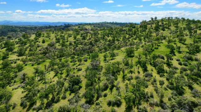 42625 Red Top Mountain Court, Coarsegold, CA 93614