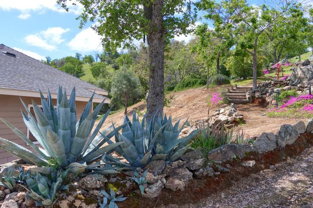 42625 Red Top Mountain Court, Coarsegold, CA 93614