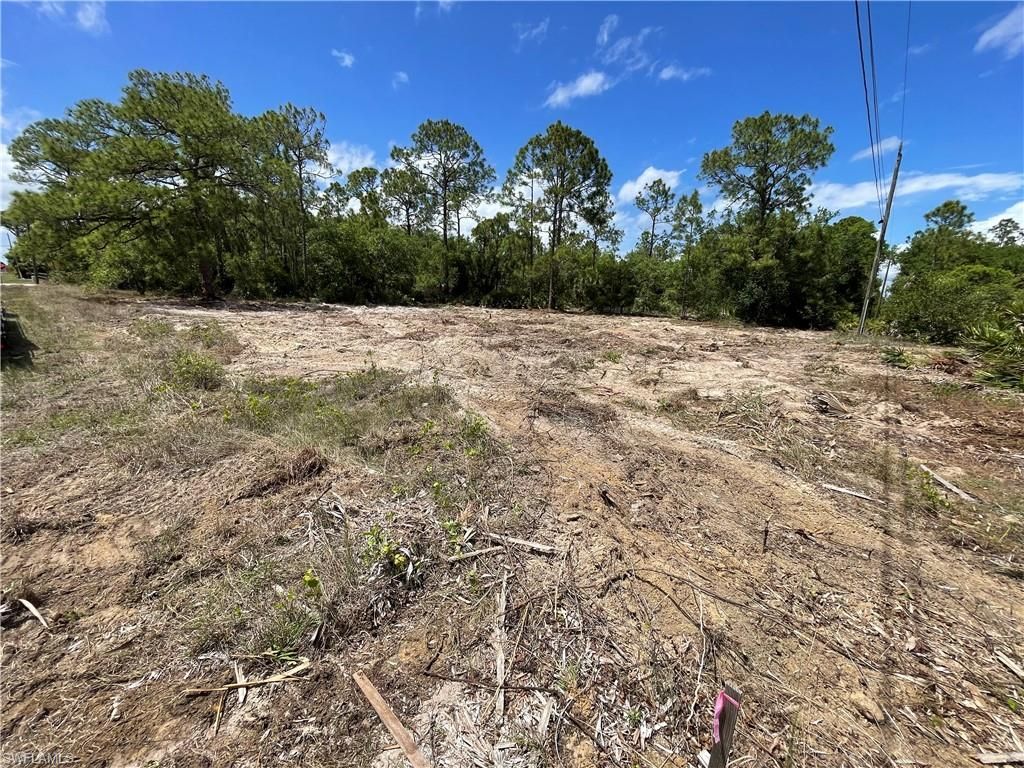 303 E 13th ST, LEHIGH ACRES, FL 33972 — photo 3