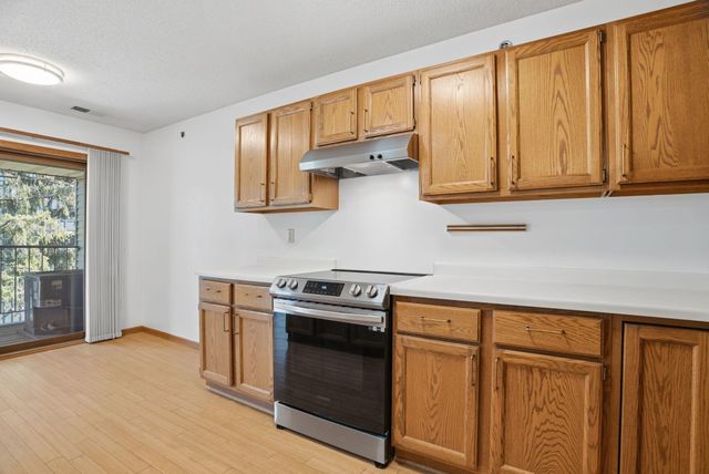 32 11th Avenue S 303, Hopkins, MN 55343