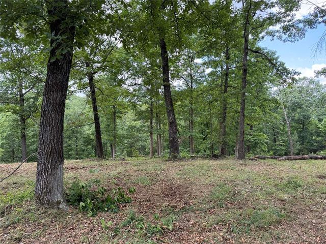 146 NC 3920, Marble Falls, AR 72648