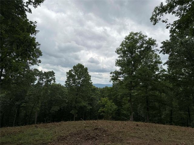 146 NC 3920, Marble Falls, AR 72648