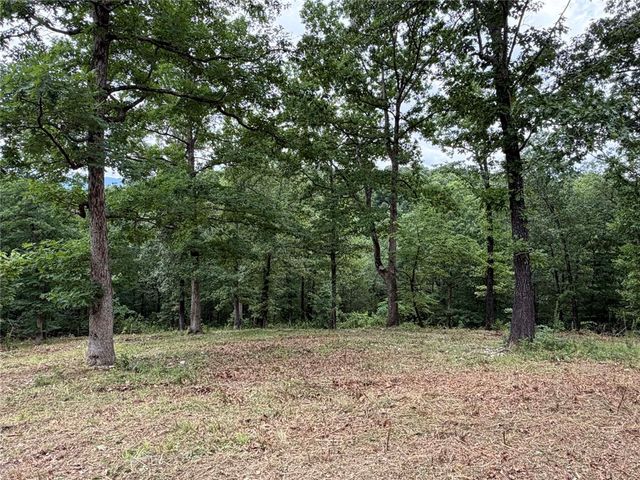 146 NC 3920, Marble Falls, AR 72648
