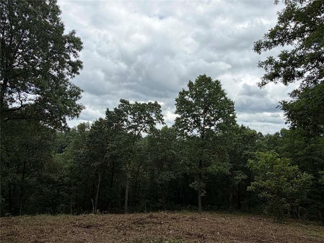 146 NC 3920, Marble Falls, AR 72648