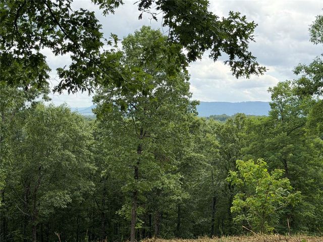 146 NC 3920, Marble Falls, AR 72648