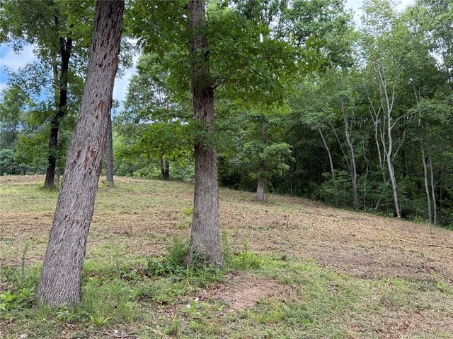 146 NC 3920, Marble Falls, AR 72648