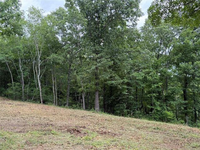 146 NC 3920, Marble Falls, AR 72648