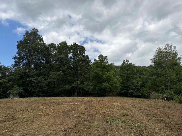 146 NC 3920, Marble Falls, AR 72648