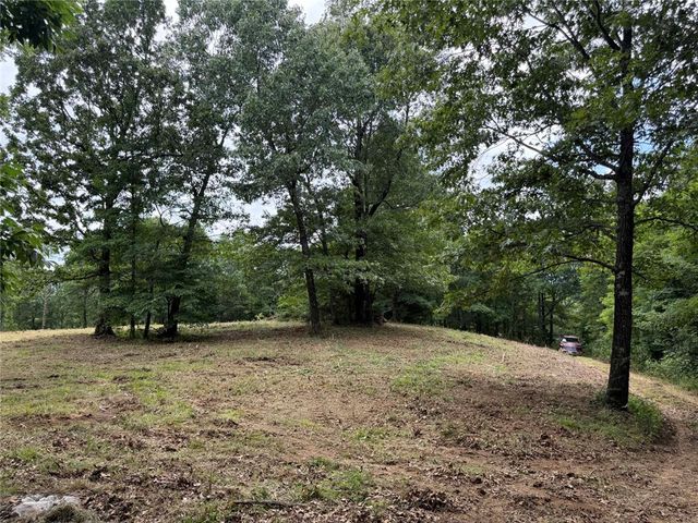 146 NC 3920, Marble Falls, AR 72648