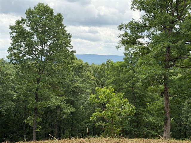 146 NC 3920, Marble Falls, AR 72648