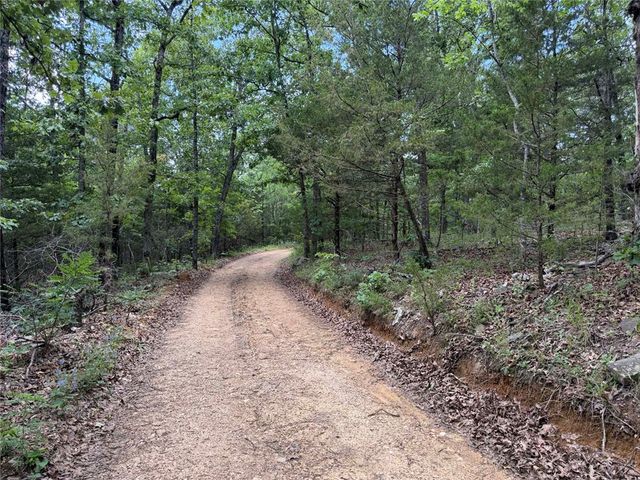 146 NC 3920, Marble Falls, AR 72648