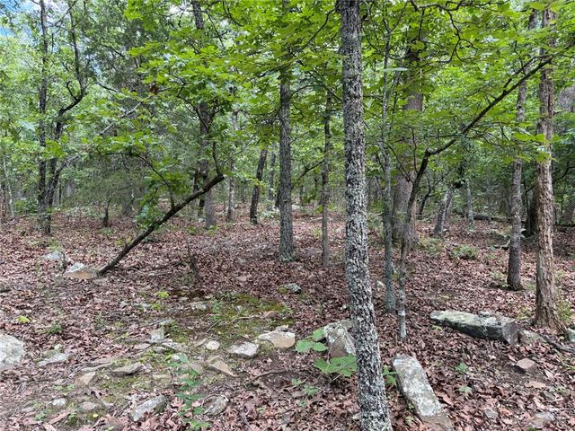 146 NC 3920, Marble Falls, AR 72648