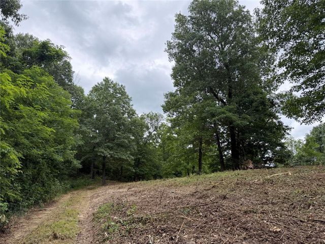 146 NC 3920, Marble Falls, AR 72648