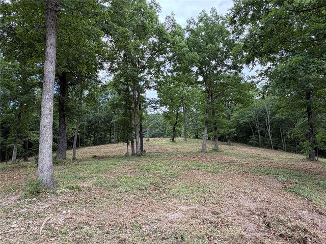 146 NC 3920, Marble Falls, AR 72648