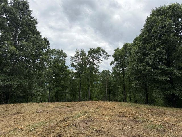 146 NC 3920, Marble Falls, AR 72648