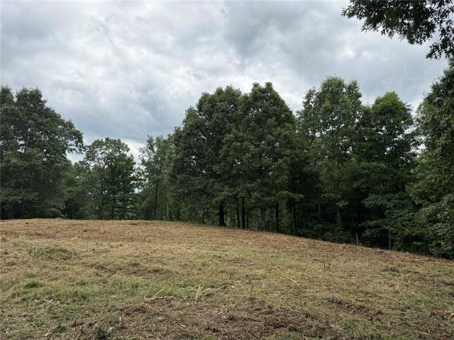 146 NC 3920, Marble Falls, AR 72648