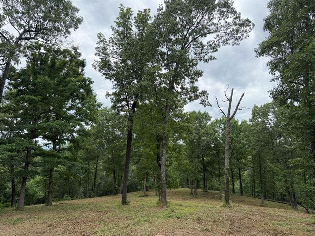 146 NC 3920, Marble Falls, AR 72648