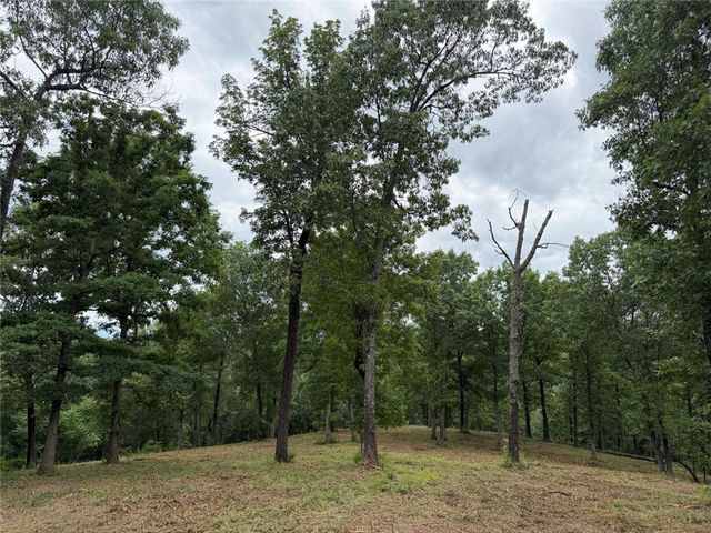 146 NC 3920, Marble Falls, AR 72648