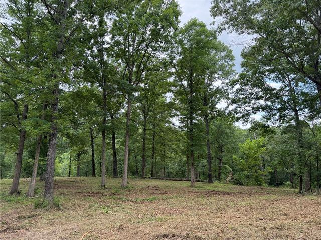 146 NC 3920, Marble Falls, AR 72648