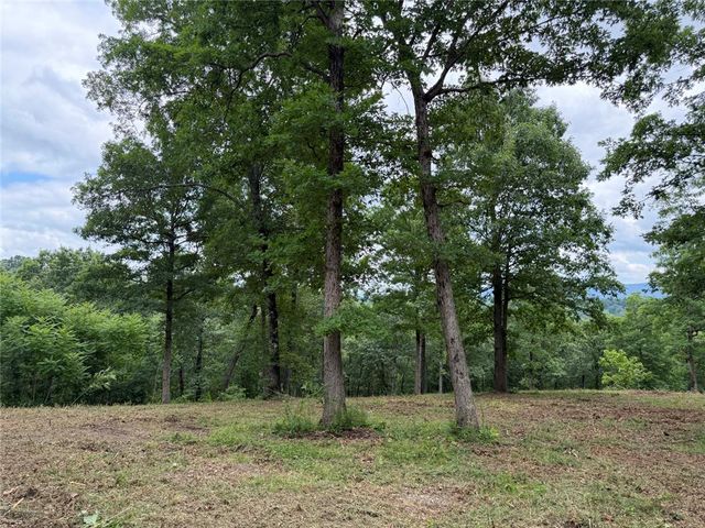 146 NC 3920, Marble Falls, AR 72648