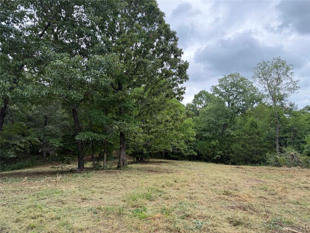 146 NC 3920, Marble Falls, AR 72648