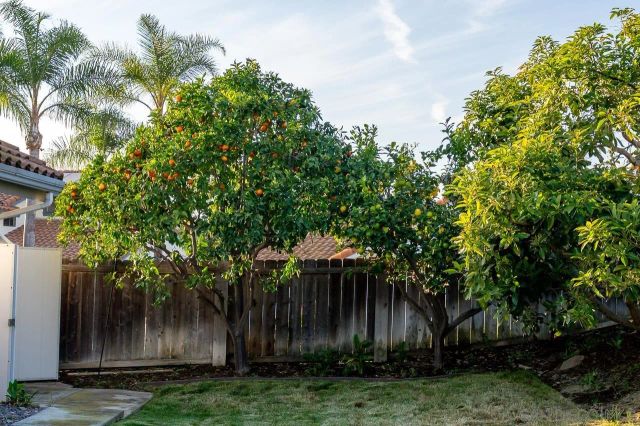 1018 Bridle Path Way, Oceanside, CA 92057