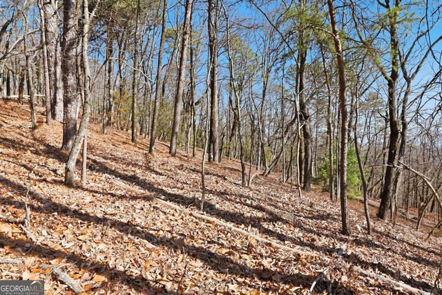 LOT 58 Mountain Sweet Drive, Clarkesville, GA 30523