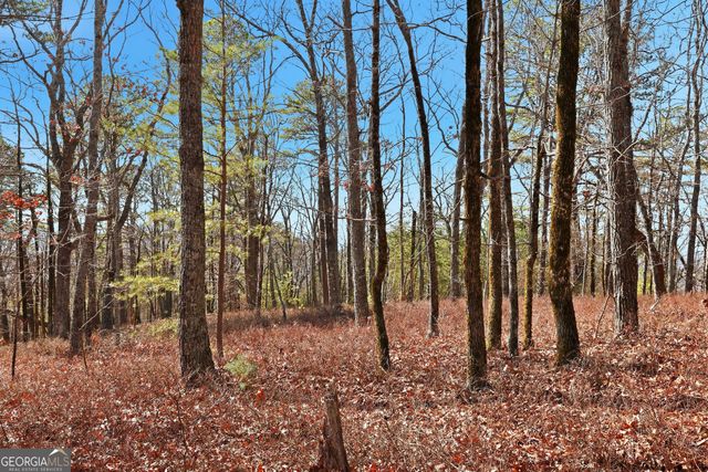 LOT 58 Mountain Sweet Drive, Clarkesville, GA 30523