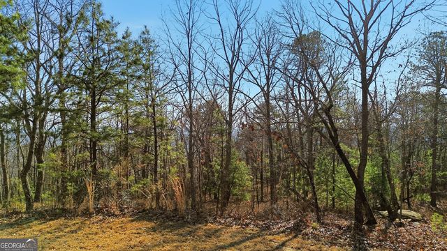 LOT 58 Mountain Sweet Drive, Clarkesville, GA 30523