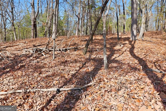 LOT 58 Mountain Sweet Drive, Clarkesville, GA 30523